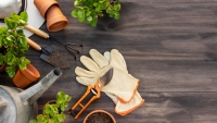 5 populaire tuinplanten