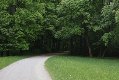 Je tuinpad hoeft al lang niet meer recht te lopen