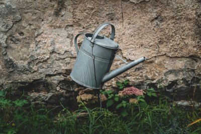 Regenwater opvangen redt je tuin deze droge zomer
