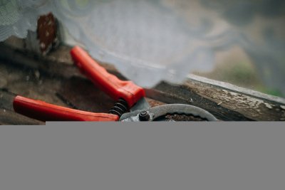 Je tuingereedschap verdient dit onderhoud voor de winter